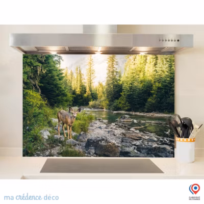 Crédence cuisine fond de hotte Biche-et- Lrivière x H Verre trempé – MaCrédenceDéco