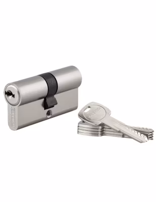 Cylindre de serrure double entrée Trafic 6, 30x30mm, anti-arrachement, anti-perçage, nickel, fonction urgence 5 clés – THIRARD