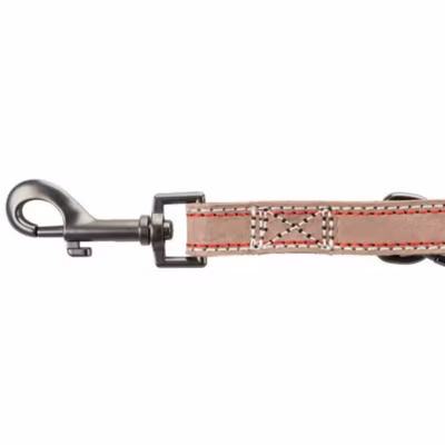 Laisse 15 mm par  2 M en cuir réglable. marron  pour chien