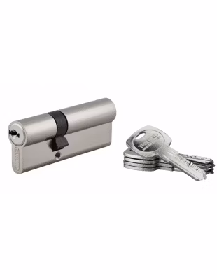 Cylindre de serrure double entrée Trafic 6, 30x50mm, nickel, anti-arrachement, anti-perçage, 5 clés – THIRARD
