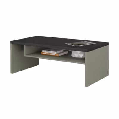 Table basse HAVANA  Vert sauge et noir  Plateau noir mat  Avec niche  Design moderne