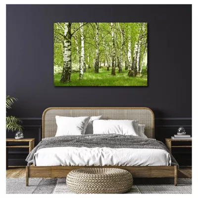 Tableau toile en kit FORET DE BOULEAU 140 x 95 cm – Toile textile sans PVC, Made in France par Scenolia