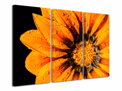 DECLINA, Tableau toile imprimée Zen, Tableau deco Fleurs et Gouttes d&rsquo;eau, 120×80 cm
