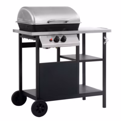 Barbecue à gaz et compartiments (92x53x96 cm  – Multicolore)
