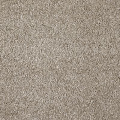 Moquette Lumicolor Marron tendre – Rouleau de 5m x 14m