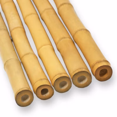 Pack de 5 Cannes Décoratives en Bambou  D5-7 cm Longueur 100 cm