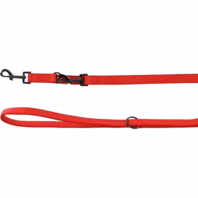 Laisse d&rsquo;entrainement rouge 20 mm par 2 mètre pour chien