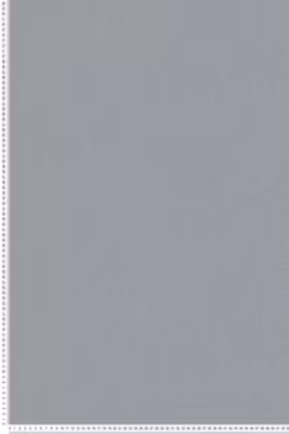 Papier peint intissé Uni L.10.05 x l.0.53 m.  – Réf. 37703-8