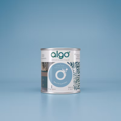 Peinture pour Meuble – Bleu Porquerolles – 0.5L – Mat