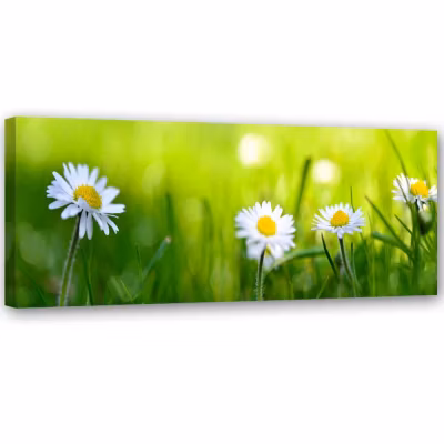 Cadre déco, Fleur de l&rsquo;oie Vert Herbe 90×30 cm