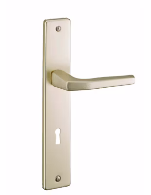 Ensemble de poignées pour porte intérieure Picardie trou de clé, carré 7mm, entr&rsquo;axes 195mm, couleur champagne – THIRARD
