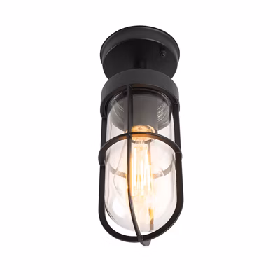 Plafonnier d&rsquo;extérieur rustique noir avec verre IP44 – Elza