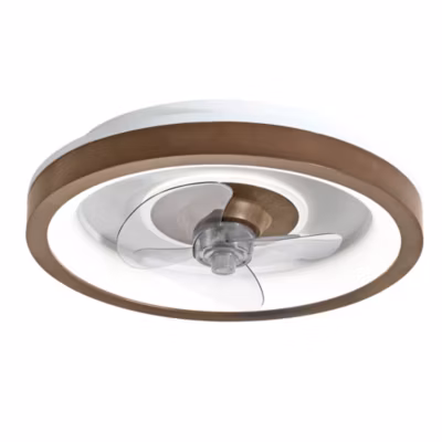 Ventilateur de plafond avec lumière