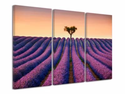 DECLINA, Tableau toile imprimée Paysage, Tableau triptyque Champs de Lavande, 150×100 cm