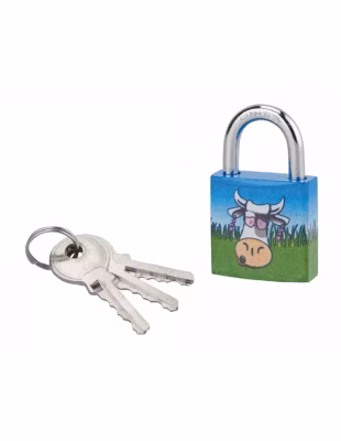Cadenas à clé Chtiote Meuh, acier, intérieur, anse acier, 30mm, 3 clés – THIRARD
