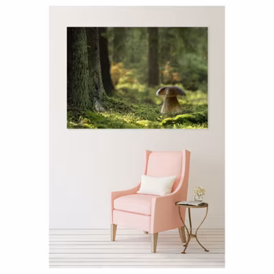 Tableau toile en kit CHAMPIGNON DES BOIS 180 x 130 cm – Toile textile sans PVC, Made in France par Scenolia