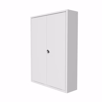Coffret d&rsquo;habillage ATOLE en acier avec clé pour tableaux électriques double – H 54 x L 58,5 x P 16 cm – Réf. RCH2T116GSS