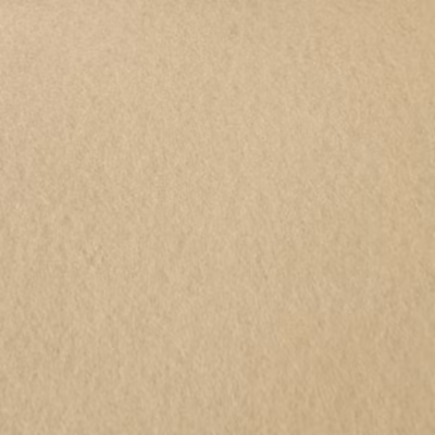 Moquette Stand Expo – Sable – Rouleau de 2m x 32m