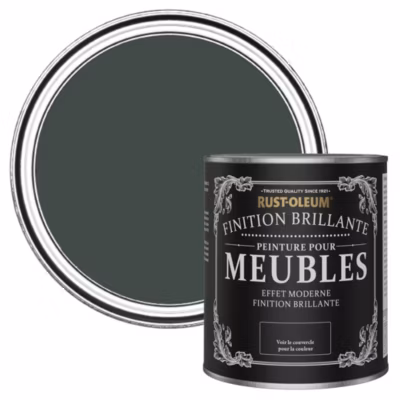 Peinture Verte pour Meubles, Finition Brillante – RUST-OLEUM – After Dark 750ml