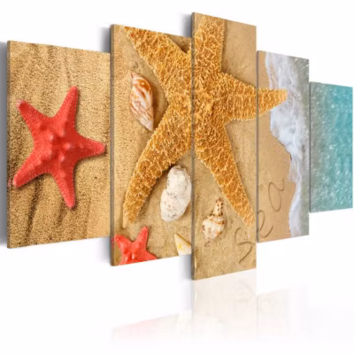 Tableau déco Sea treasure 100×50 cm
