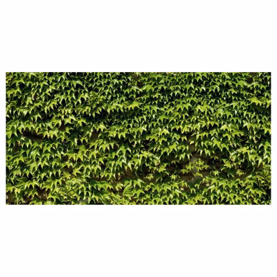 Brise vue imprimé VIGNE VIERGE, H.1.5 x L.3 m, 100% occultant, Made in France par Scenolia + kit de fixation offert