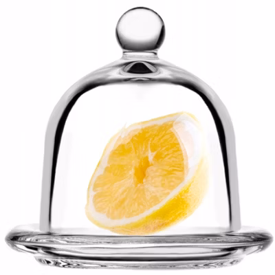 KADAX Récipient en verre pour citron avec couvercle et abat-jour pour organisateur de citron