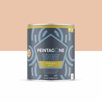 Peinture de finition lessivable pour murs & plafonds intérieurs – Finish Matt, 1 l, California Love (PE098)