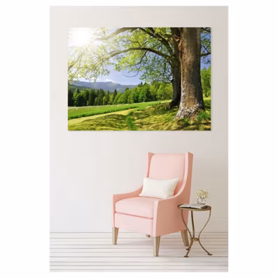Tableau toile en kit OREE DU BOIS 180 x 130 cm – Toile textile sans PVC, Made in France par Scenolia