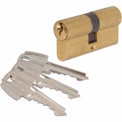 Cylindre 2 entrées TE5 laiton – 30 x 30 mm – Tesa
