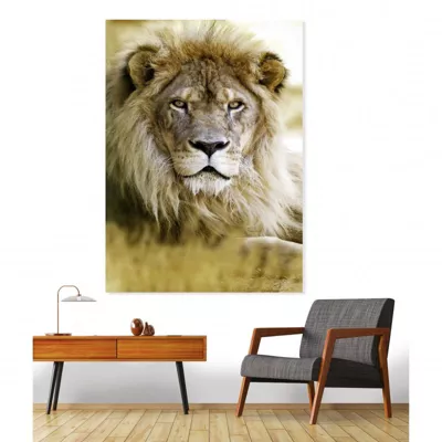 Tableau toile XXL en kit Lion 130 x 180 cm – Toile textile sans PVC