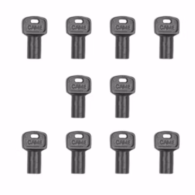 Lot de 10 Clés de déblocage universelle Came 119RIY077 pour motorisation