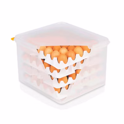 Boite à œufs HACCP en Polystyrène L 354 mm l 325 mm H 200 mm – Was Germany