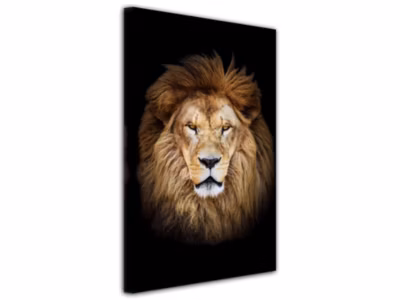 DECLINA, Tableau toile imprimée, animaux, Tableau unique Le Roi LION, 60×100 cm