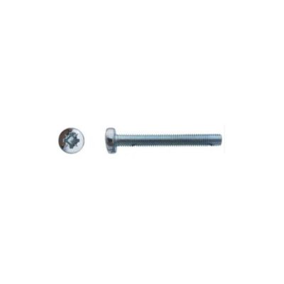 500 Vis Métaux Tête Cylindrique Pozidriv 4 x 10 mm – DIN 7985 – Zingué blanc – D-Work