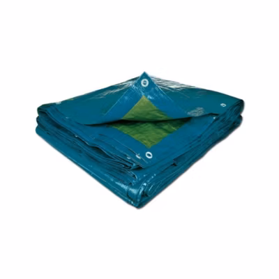Bâche multi-usage 70g/m2 2 x 3 Bleu TERRE JARDIN