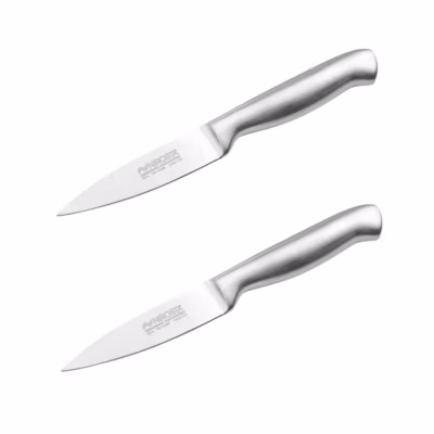 Ensemble de 2 Couteaux d&rsquo;office en inox 20 cm en tout Nirosta Star