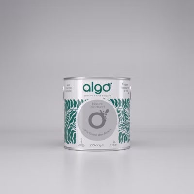 Peinture Algo – Gris Granit des Abers – 0.5L – Satin