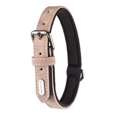Collier taille XL 47-57 CM en simili cuir et néoprène  DELU, couleur taupe. pour chien.