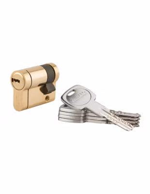 Demi-cylindre de serrure Trafic 12, 30x10mm, laiton, anti-arrachement, anti-perçage, anti-casse, 5 clés – THIRARD