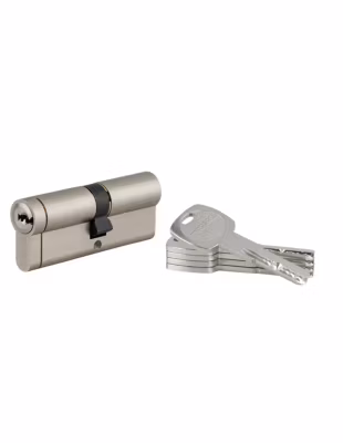Cylindre de serrure débrayable Transit 1, 40x45mm, 5 clés, nickelé – THIRARD