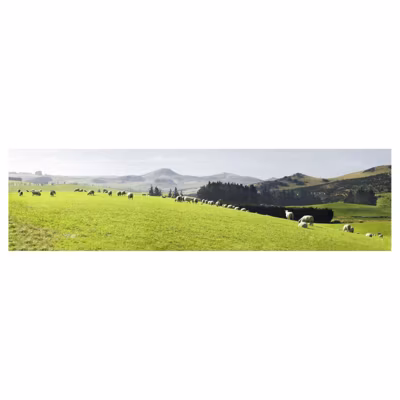 Brise vue imprimé VALLÉE VERTE, H.0.8 x L.3 m, 100% occultant, Made in France par Scenolia + kit de fixation offert