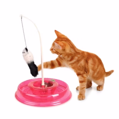jeux Circuit TIBO rond rose  D 27,5 cm par 38 cm, pour chat