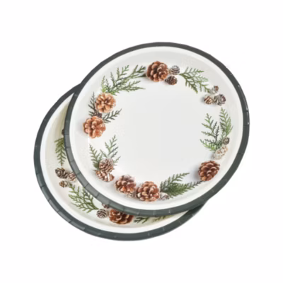 6 assiettes en carton Pommes de pin